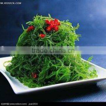 Japan China korean foodChuka Wakame seafood for sale