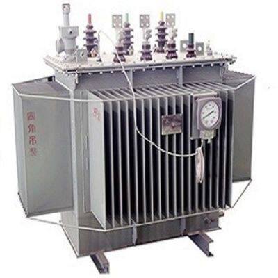 Oil-immersed Transformer photo-3