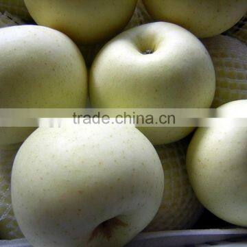 Chinese golden delicious apple