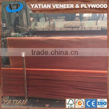 Rotary cut 0.2-0.3mm plywood face water gum veneer