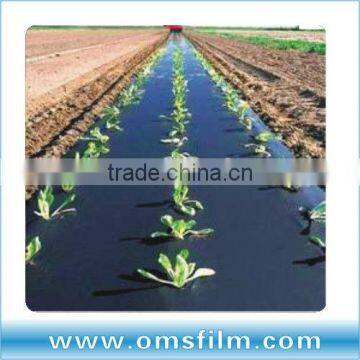 Polyethylene plastic mulch film used in hydroponic tent price