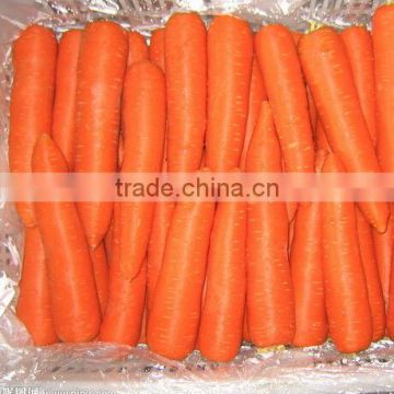 2014 local fresh carrot in different size from China