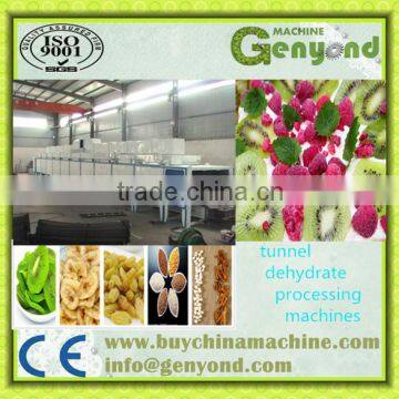 Mircrowave drying and sterilizing equipment for peanuts .peanuts process line