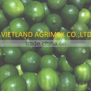 HIGH QUALITY GREEN LEMON/ LIME/ LEMON FOR SALE FROM VIETNAM 2016