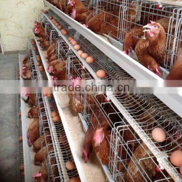 A Type Chicken Cages For Sale with Trade Assurance