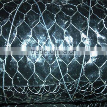 Pvc Coatted Hexagonal Wire Netting photo-3