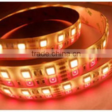 double mix color temperature flexible led strip 120LEDS/m 3528SMD led strip color temperature adjustable and dimmable