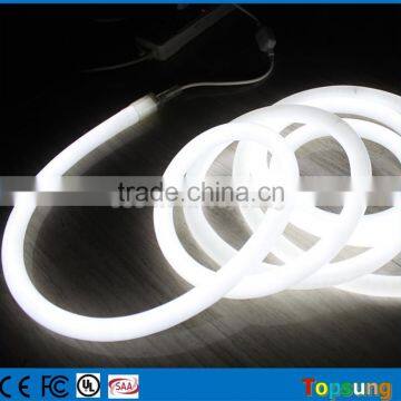 100' spool 360 degree white led neon light 24v for pool                        
                                                                                Supplier's Choice