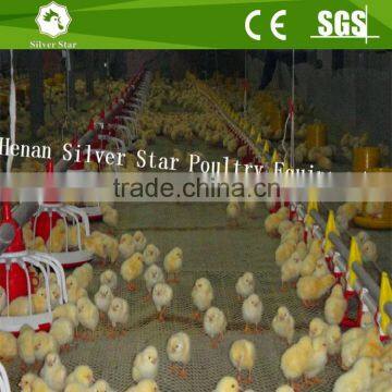 Broiler poultry shed design ground raising equipment