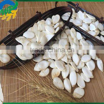 Snow White Pumpkin Seed in Shell photo-2
