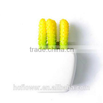 Artificial Succulents With Ceramic Pot With Yellow Spines