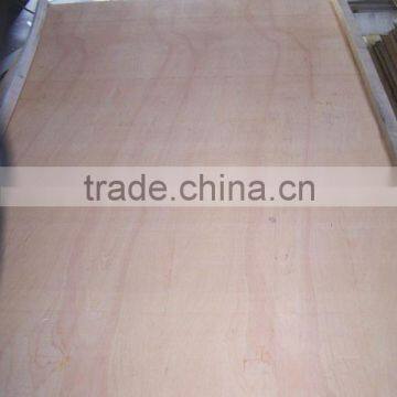 PLYWOODS ( E2) photo-5