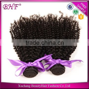 Cheap Virgin Malaysian Curly Hair, Malaysian Kinky Curly Hair Weave, Mongolian Kinky Curly Hair Weave