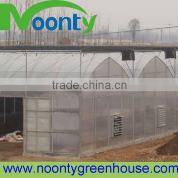 Plastic Film Greenhouse