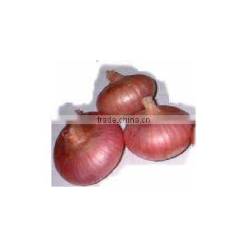 2012 Red onion in 10kg mesh bag package.MOQ:1X40FCL.