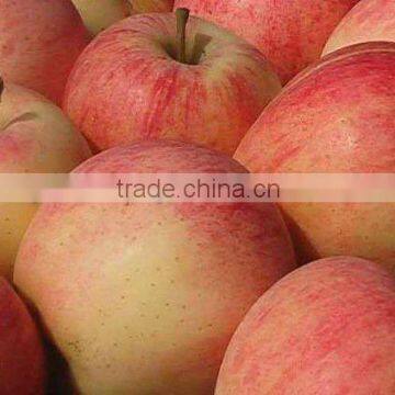 2014 fresh gala apples specifications ( original place shandong,china)