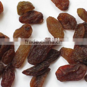 Dried Red Raisin