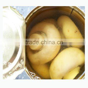 canned mushrooms 400g in tin