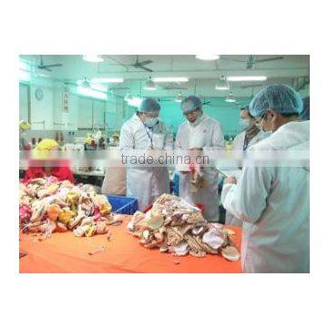 Shenzhen Zhenyan Toy Gift Co., Ltd.