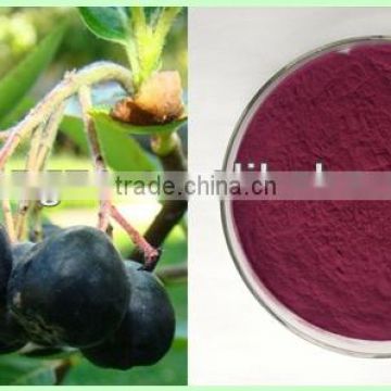 Aronia melanocarpa Black Chokeberry Extract Powder Extract with Anthocyanidins 5-25%