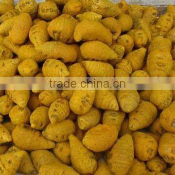 Dried Turmeric Exporters/Turmeric Curcumin photo-4
