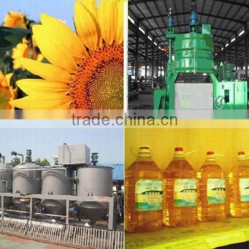 20TPD Sunflower seeds oil pressing to refinery turn key plant