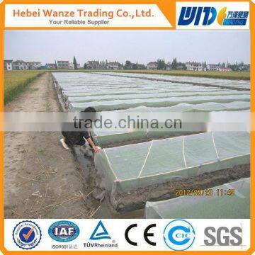 plastic windbreak net/1mm thick plastic sheet/corrugated plastic sheet/HDPE with UV Fiberglass insect proof net