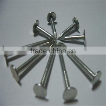 2015 hot sale Building common wire nail, Construction Common nail iron nail factory