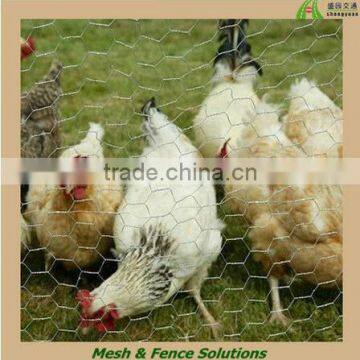 Factory galvanized chicken hexagonal wire mesh philippines fencing panels