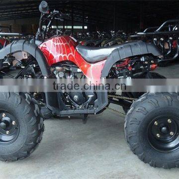 Small Beach Buggy Truck For Young Man Race On Beach photo-3