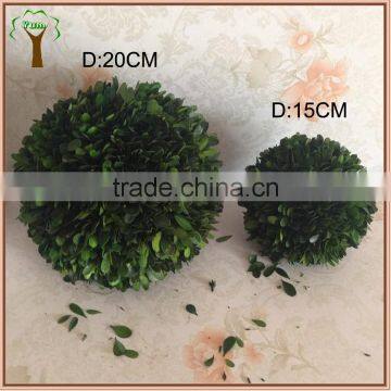 Preservative Boxwood Ball and Preseved Ball Topairy for America Markets photo-2
