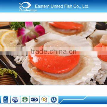 alibaba gold supplier frozen half shell scallop with roe