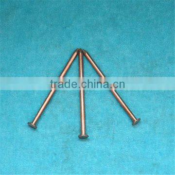 Concrete Brass Nail photo-5