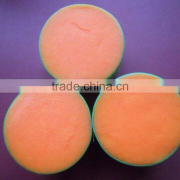 PP,PBT, PET, PA610 AND NYLON 612 TOOTHBRUSH FILAMENT photo-3