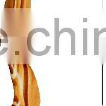 Beginner Bow photo-2