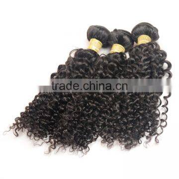 100% Natural Indian Real Hair, Afro Kinky Curly 100% Indian Human Hair Extensions photo-3