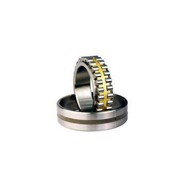 NN Double Row Cylindrical Roller Bearings