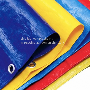 PE tarpaulin Scaffolding sheet (LENO) Pool cover PP weed barrier  PE wrap  PE & PP Roll goods