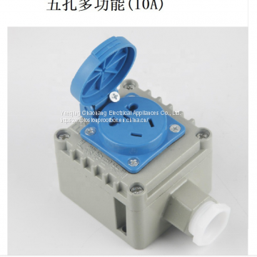 Aluminum Alloy Explosion-proof Socket Industrial Explosion-proof Socket 220V10A Five-hole Socket BQK photo-4