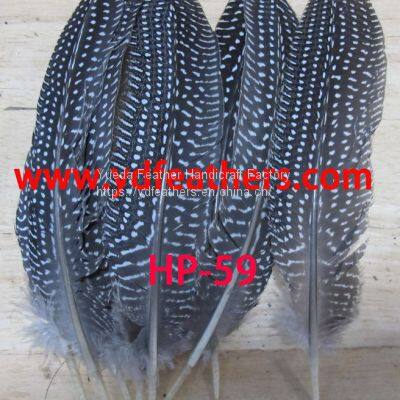 Guinea fowl wings feather from China