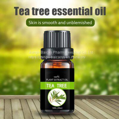 Tea Tree Essential Oil For Skin Body Aroma Humidifier Diffuser In Bulk Price Pure  Natural