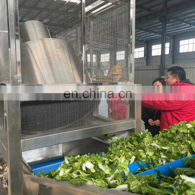 SS304 /316 Fully Automatic Good Quality Fruit Vegetable Washing Machine photo-4