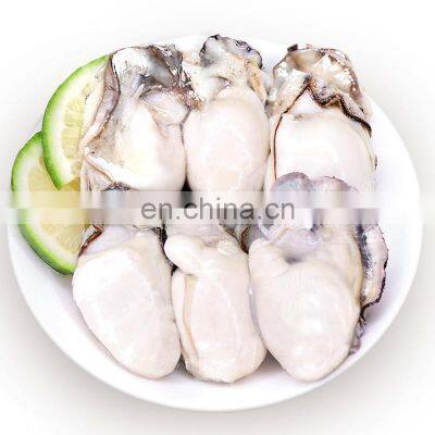 china IQF frozen oyster meat pacific oyster