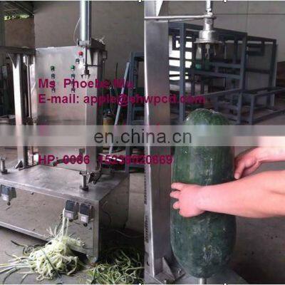 Stainless Steel Wax Gourd Peeling Machine, Wax Gourd Peeler photo-4