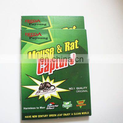 Non Poisonous Mouse & Rat Glue Snare Green Board Glue Trap for Rats