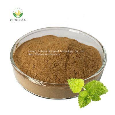 Листовой экстракт мяты лимонной Melissa Officinalis порошок с содержанием розмариновой кислоты 5%