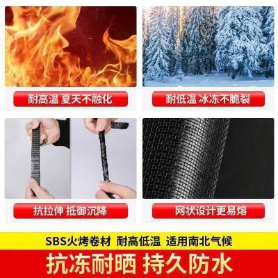 SBS Waterproofing Membrane photo-3