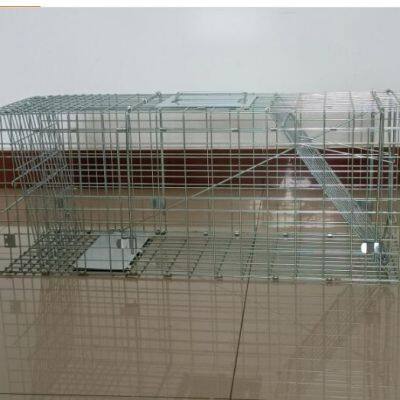 Humane Live Animal Cage Trap Kit for Humane Catch Release Rodent Small Cat, Rabbits, Squirrel, Opossum, Squire, Raccoon