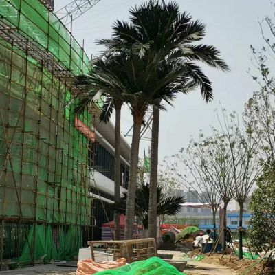 Customization Artificial Coconut Palm Tree for 5 Star Hotel Villa Engineering Project Garden Landscape Design 3-15 Meter Trees photo-4