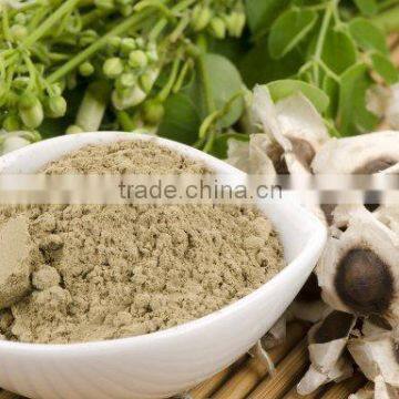 High Qualiity Moringa Seed powder Bulk Producers